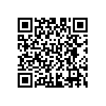 D55342E07B30B1R QRCode