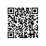 D55342E07B30B5RWS QRCode