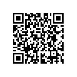 D55342E07B33B2RT0 QRCode