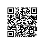 D55342E07B33B2RTP QRCode