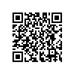 D55342E07B361BRWS QRCode