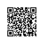 D55342E07B370BRWS QRCode