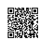 D55342E07B374ERWS QRCode