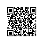 D55342E07B3B36RWS QRCode