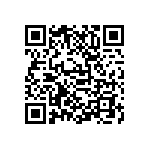 D55342E07B499DRTF QRCode