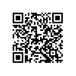 D55342E07B4B32RTP QRCode