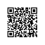 D55342E07B5B00RWS QRCode