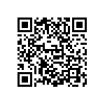 D55342E07B619ARWS QRCode