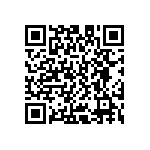 D55342E07B84B5RWS QRCode