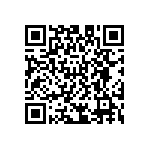 D55342E07B909ARTI QRCode