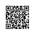 D55342E07B9B53RTP QRCode