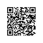 D55342H07B250ERWS QRCode