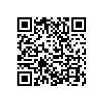 D55342H07B287ERT5 QRCode