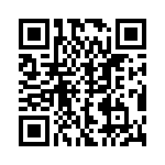 DBM-9W4P-K127 QRCode