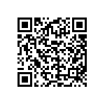 DBM13P3P1A9NA191K87 QRCode