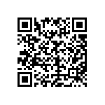 DBM17W2P0L4A191K87 QRCode