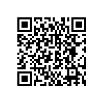 DBMG-13C3P-J-K87 QRCode