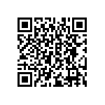 DBMG13C3SJA197S6 QRCode