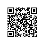 DBMMC13X3PJA101 QRCode