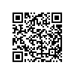 DCM13W6P1A5NA191K87 QRCode