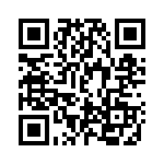 DE300-3 QRCode