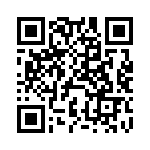 DEBE33F102ZD3B QRCode