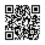 DEM09P343 QRCode