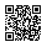 DF38004FP10WV QRCode