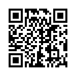 DG387AAK-883B QRCode