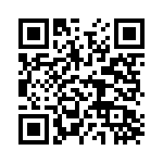 DM130341 QRCode