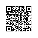 DW-01-13-T-S-256 QRCode