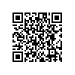 DW-02-09-T-S-563 QRCode