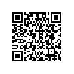 DW-02-13-T-Q-1010-001 QRCode