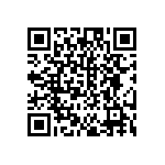 DW-02-13-T-S-984 QRCode