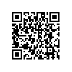 DW-03-13-L-S-691 QRCode