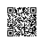 DW-04-07-T-D-310 QRCode