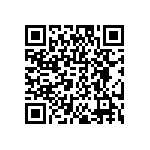 DW-04-07-T-S-290 QRCode