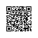 DW-04-07-T-S-295 QRCode