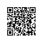 DW-04-08-G-S-295 QRCode