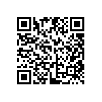 DW-04-08-G-S-311 QRCode