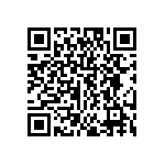 DW-04-09-L-S-533 QRCode