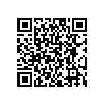 DW-04-09-S-T-400 QRCode