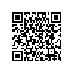 DW-04-09-T-D-480 QRCode