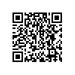 DW-04-12-T-S-813-LL QRCode