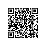 DW-04-13-G-D-865 QRCode