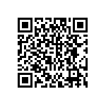 DW-04-13-L-D-970 QRCode