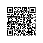 DW-04-13-T-S-940 QRCode