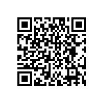 DW-04-15-T-D-303 QRCode