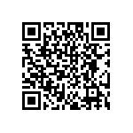 DW-04-15-T-S-384 QRCode