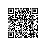 DW-04-17-T-S-310 QRCode